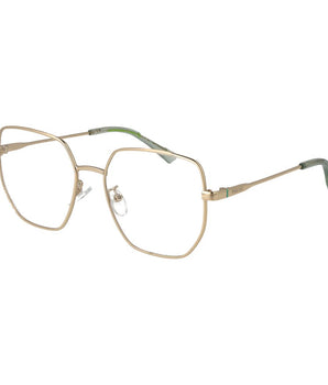 Polaroid Gold Metal Glasses (Frames)