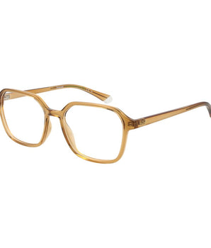 Polaroid Beige Polyamide Glasses (Frames)