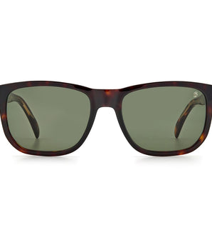 David Beckham Brown Acetate Sunglasses