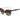 Love Moschino Brown Acetate Sunglasses