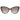 Love Moschino Brown Acetate Sunglasses