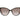 Love Moschino Brown Acetate Sunglasses