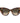 Moschino Brown Acetate Sunglasses