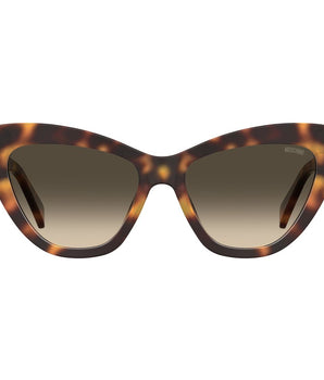 Moschino Brown Acetate Sunglasses