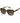 Polaroid Brown Acetate Sunglasses