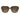 Polaroid Brown Acetate Sunglasses