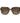 Polaroid Brown Acetate Sunglasses