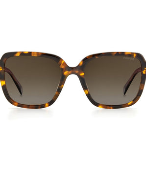 Polaroid Brown Acetate Sunglasses