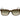 Scotch & Soda Brown Metal Sunglasses