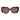 Ted Baker Brown Women Sunglasses