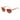 Scotch & Soda Pink Women Sunglasses