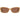 Harley-Davidson Brown Plastic Sunglasses