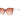 Jimmy Choo Brown Plastic Sunglasses