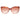 Jimmy Choo Brown Women Sunglasses