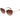 Maje Brown Acetate Sunglasses