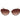 Maje Brown Acetate Sunglasses