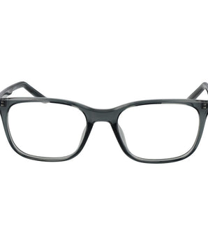 Nike Gray Stainless Steel Glasses (Frames)