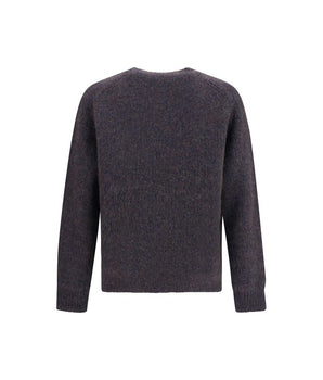 Sunflower Brown Alpaca Vicugna Pacos Sweatshirt