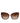 Dolce & Gabbana DG6131 Plissé Brown Butterfly Square Shades Sunglasses