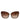 Dolce & Gabbana DG6131 Plissé Brown Butterfly Square Shades Sunglasses