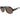 Armani Exchange Brown Acetate Sunglasses