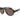 Armani Exchange Brown Acetate Sunglasses