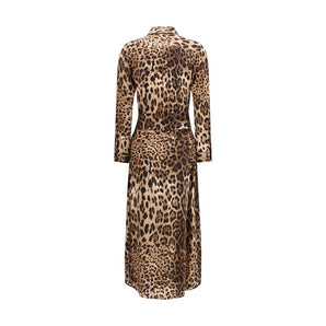 Ella Multicolor Silk Casual Dress