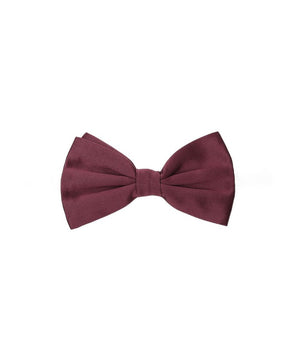Dolce & Gabbana Bordeaux Silk Bowtie