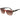 Converse Rose Gold Acetate Sunglasses