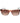 Converse Rose Gold Acetate Sunglasses