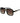 Carrera Black Plastic Sunglasses