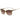 Belstaff Brown Titanium Sunglasses