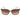 Belstaff Brown Titanium Sunglasses
