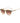 Belstaff Brown Titanium Sunglasses