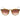Belstaff Brown Titanium Sunglasses