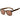 Belstaff Brown Acetate Sunglasses