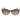 Guess Brown Injected Sunglasses