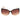 Guess Brown Injected Sunglasses