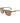 Lacoste Brown Injected Sunglasses
