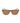 Lacoste Brown Injected Sunglasses