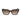 Lacoste Brown Acetate Sunglasses