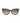Longchamp Brown Acetate Sunglasses