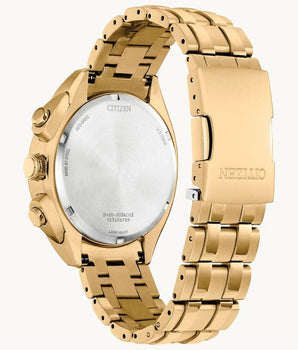 Citizen Gold Stainless Steel Sport Watch