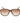 Guess Brown Injected Sunglasses