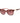 Guess Multicolor Resin Sunglasses