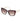 Guess Brown Resin Sunglasses
