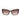 Guess Brown Resin Sunglasses