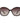 Guess Brown Metal & Plastic Sunglasses