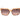 Marciano by Guess Orange Acetate Sunglasses