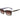 Love Moschino Brown Acetate Sunglasses